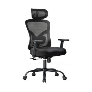 NOBLEWELL Ergonomic Office Chair